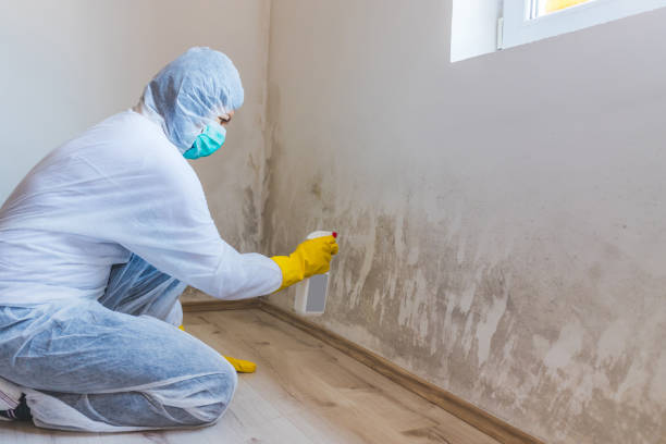 Mold Remediation specialist working in Trevorton