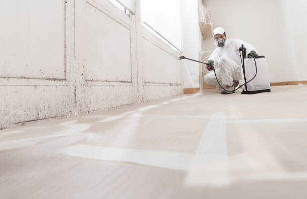Post-remediation clearance in Trevorton